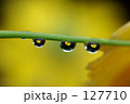 水滴の中に咲く花-2-