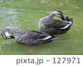 Twiin Ducks