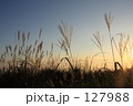 Kurumayama #5 すすきと夕焼け