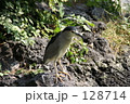 とり