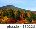 八甲田 小岳の紅葉
