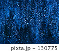 森の夜