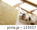 日溜まり