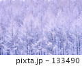 樹氷