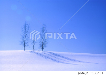 「Winter blue」の写真素材