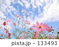 秋の空