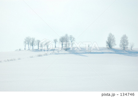 雪景色10
