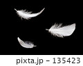 素材ナンバー 135423 : 「羽毛」