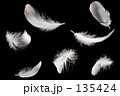 素材ナンバー 135424 : 「羽毛」