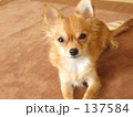 見つめる先に２