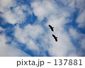 お家へ帰ろう