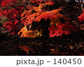 もみじ