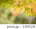 もみじのグラデーション