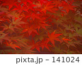 霧紅葉