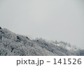 雪の森
