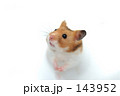 143952
