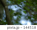 風の吐息