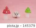キノコの森にあそびに来た☆