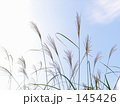 線と空