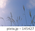 空高く
