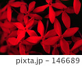 red×blk