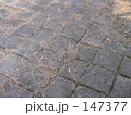 荒れた歩道