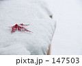今年、最後の秋