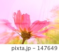 もっと光を♪