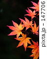 残照　２