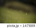 0332