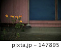 0338