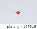 雪と紅葉