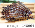 車エビ（活魚）