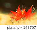 [ Sign] Objet..紅葉.
