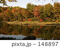 紅葉の効用