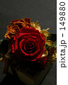 Rose2