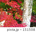 泉福寺へ行く　04