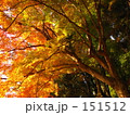 泉福寺へ行く　05