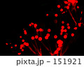 イルミネーション