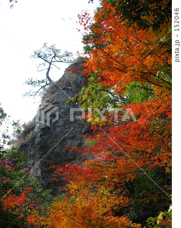 「両子寺の道　12」の写真素材