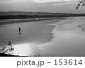 海