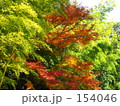 長安寺の秋　04