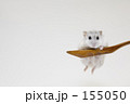 ハイ、ポーズ！