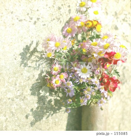 「近水園の供花」の写真素材 「近水園の供花」の写真素材