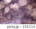 雪の輝く季節