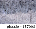 雪景色