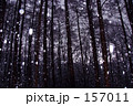 雪降る森林