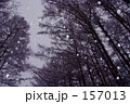 粉雪 舞い降りる