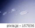 雪 あしあと
