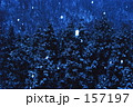 雪降る月夜の森